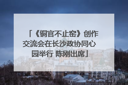 《铜官不止窑》创作交流会在长沙政协同心园举行 陈刚出席