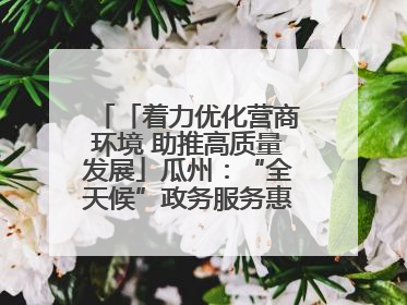 「着力优化营商环境 助推高质量发展」瓜州：“全天候”政务服务惠企便民