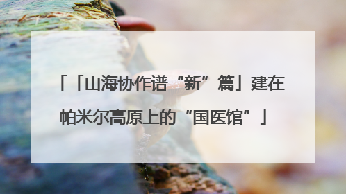 「山海协作谱“新”篇」建在帕米尔高原上的“国医馆”