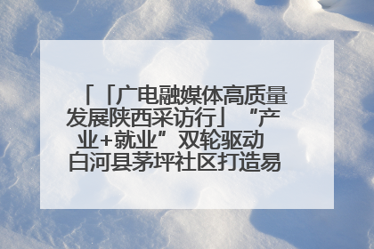 「广电融媒体高质量发展陕西采访行」“产业+就业”双轮驱动 白河县茅坪社区打造易地搬迁后扶新样本
