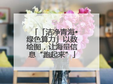 「洁净青海•绿色算力」以数绘图，让海量信息“跑起来”