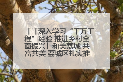 「深入学习“千万工程”经验 推进乡村全面振兴」和美荔城 共富共美 荔城区扎实推进乡村振兴工作