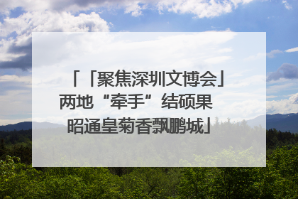 「聚焦深圳文博会」两地“牵手”结硕果 昭通皇菊香飘鹏城