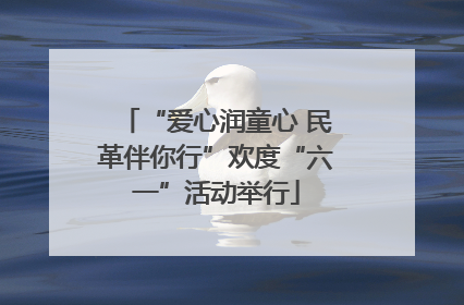 “爱心润童心 民革伴你行”欢度“六一”活动举行