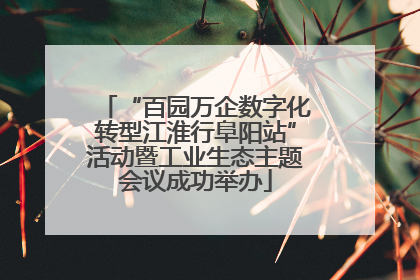 “百园万企数字化转型江淮行阜阳站”活动暨工业生态主题会议成功举办