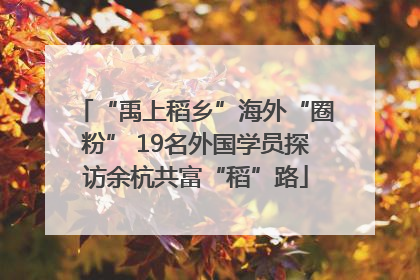 “禹上稻乡”海外“圈粉” 19名外国学员探访余杭共富“稻”路