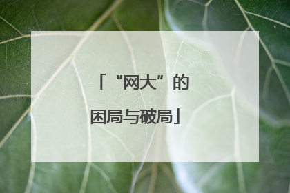 “网大”的困局与破局