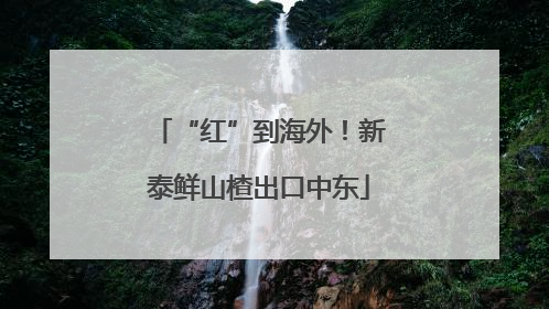“红”到海外！新泰鲜山楂出口中东