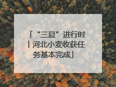 “三夏”进行时丨河北小麦收获任务基本完成