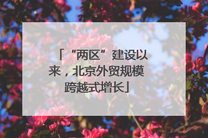 “两区”建设以来，北京外贸规模跨越式增长