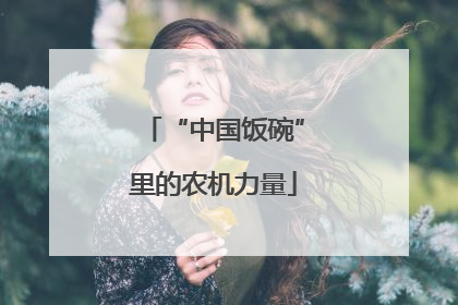 “中国饭碗”里的农机力量