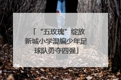“五玫瑰”绽放 新城小学混编少年足球队勇夺四强