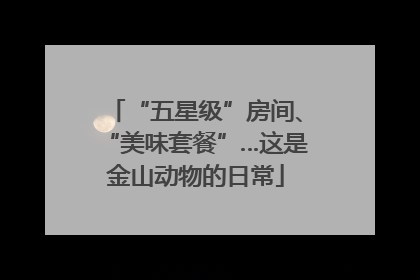 “五星级”房间、“美味套餐”…这是金山动物的日常