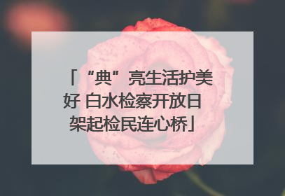 “典”亮生活护美好 白水检察开放日架起检民连心桥