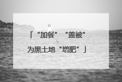 “加餐”“盖被” 为黑土地“增肥”