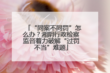 “同案不同罚”怎么办？湘阴行政检察监督着力破解“过罚不当”难题