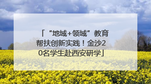 “地域+领域”教育帮扶创新实践！金沙20名学生赴西安研学
