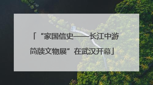 “家国信史——长江中游简牍文物展”在武汉开幕