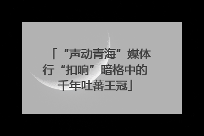 “声动青海”媒体行“扣响”暗格中的千年吐蕃王冠