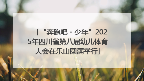 “奔跑吧・少年”2025年四川省第八届幼儿体育大会在乐山圆满举行