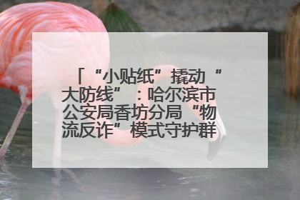 “小贴纸”撬动“大防线”：哈尔滨市公安局香坊分局“物流反诈”模式守护群众“钱袋子”