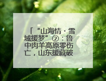 “山海情・雪域援梦”②：鲁中肉羊高原零伤亡，山东援藏破养殖密码