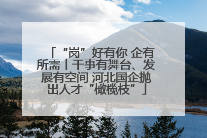 “岗”好有你 企有所需丨干事有舞台、发展有空间 河北国企抛出人才“橄榄枝”