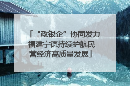 “政银企”协同发力 福建宁德持续护航民营经济高质量发展