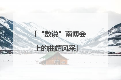 “数说”南博会上的曲靖风采