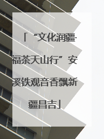 “文化润疆·福茶天山行”安溪铁观音香飘新疆昌吉