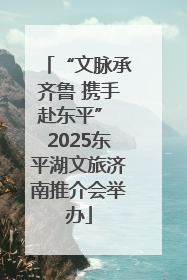 “文脉承齐鲁 携手赴东平” 2025东平湖文旅济南推介会举办