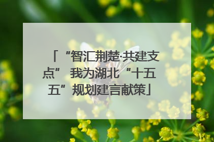 “智汇荆楚·共建支点” 我为湖北“十五五”规划建言献策