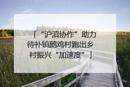 “沪滇协作”助力待补镇鹧鸡村跑出乡村振兴“加速度”