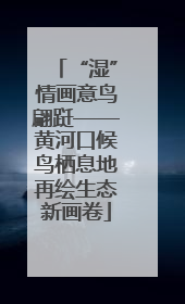 “湿”情画意鸟翩跹——黄河口候鸟栖息地再绘生态新画卷