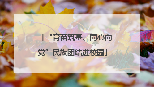 “育苗筑基、同心向党”民族团结进校园