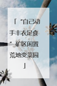 “自己动手丰衣足食”矿区闲置荒地变菜园