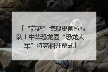 “苏超”惊现史前拉拉队！中华恐龙园“恐龙大军”将亮相开幕式