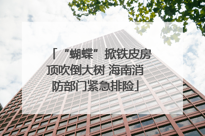 “蝴蝶”掀铁皮房顶吹倒大树 海南消防部门紧急排险