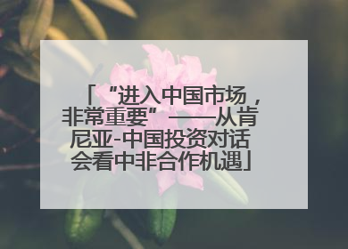 “进入中国市场，非常重要”——从肯尼亚-中国投资对话会看中非合作机遇
