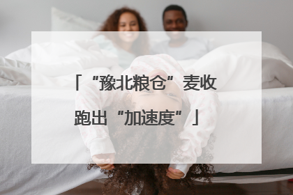 “豫北粮仓”麦收跑出“加速度”