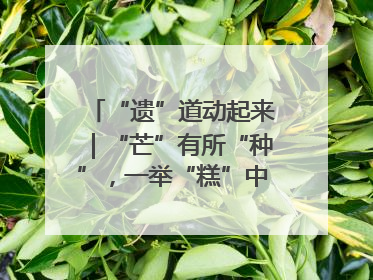 “遗”道动起来｜“芒”有所“种”，一举“糕”中！在桨影拳风里，邂逅最“动”人的风景！（内含报名信息）