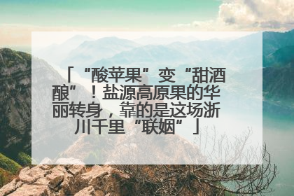 “酸苹果”变“甜酒酿”！盐源高原果的华丽转身，靠的是这场浙川千里“联姻”