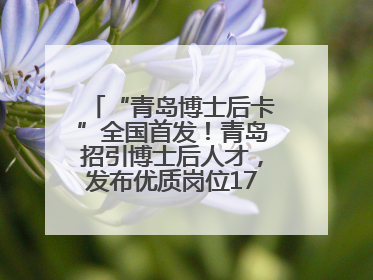 “青岛博士后卡”全国首发！青岛招引博士后人才，发布优质岗位1700余个