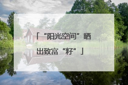 “阳光空间”晒出致富“籽”