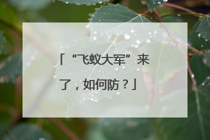 “飞蚁大军”来了，如何防？