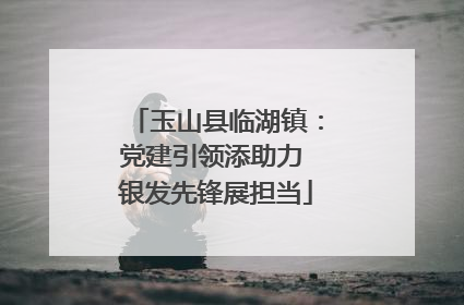 玉山县临湖镇：党建引领添助力 银发先锋展担当