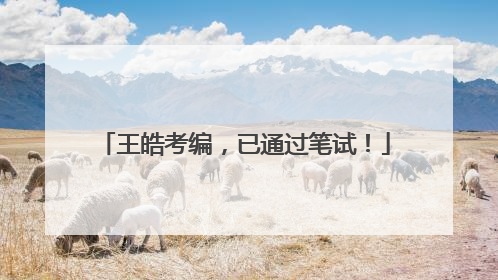 王皓考编，已通过笔试！