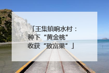 王集镇响水村：种下“黄金桃” 收获“致富果”