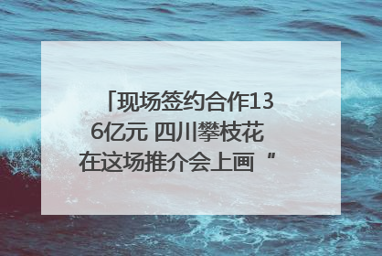 现场签约合作136亿元 四川攀枝花在这场推介会上画“图谱”列“清单”