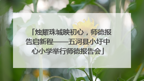 烛耀珠城映初心，师德报告启新程——五河县小圩中心小学举行师德报告会